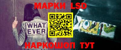 PSILOCYBIN Нальчик
