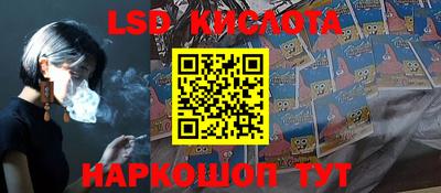PSILOCYBIN Нальчик