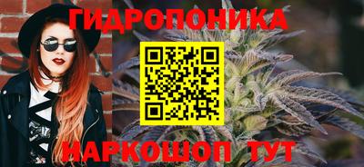 PSILOCYBIN Нальчик