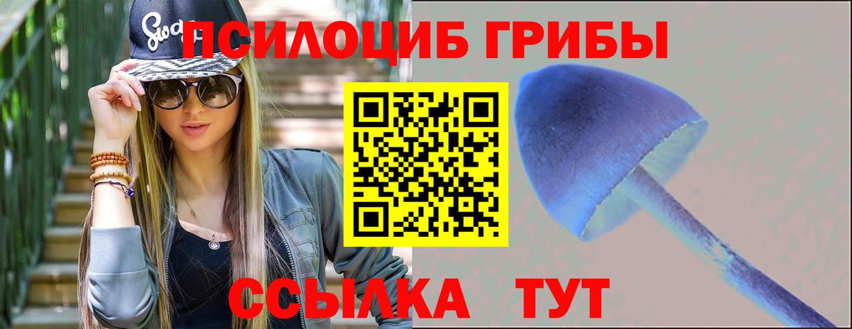 даркнет сайт  Галлюциногенные грибы Cubensis  Вход с VPN  Феодосия 